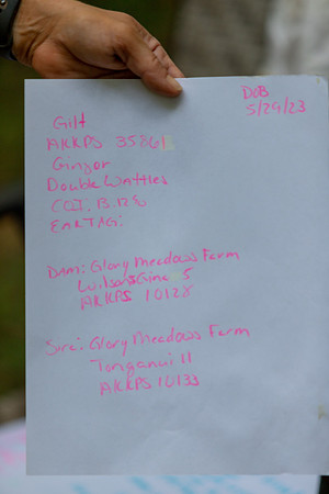 20230617-IMG_0589