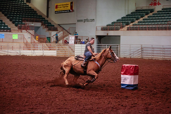 www.ngaphoto.com 2015 Georgia Federation of Saddle Clubs Championship Horse Show