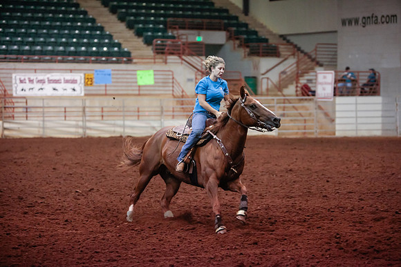 www.ngaphoto.com 2015 Georgia Federation of Saddle Clubs Championship Horse Show