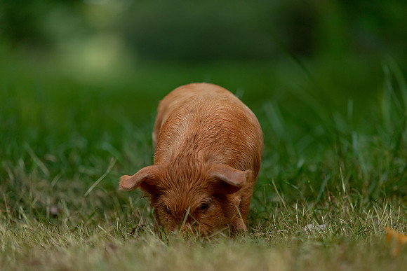 20230617-IMG_1054