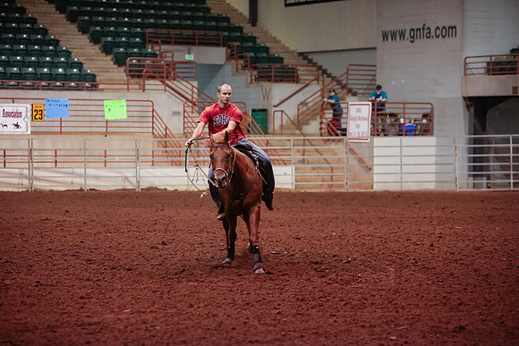 www.ngaphoto.com 2015 Georgia Federation of Saddle Clubs Championship Horse Show