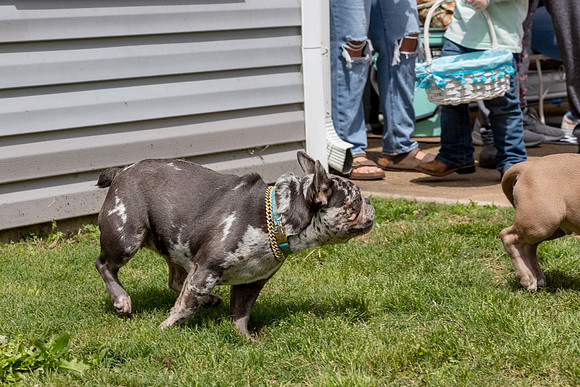 20230409-IMG_9471