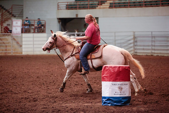 www.ngaphoto.com 2015 Georgia Federation of Saddle Clubs Championship Horse Show