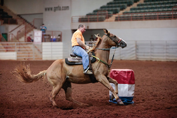 www.ngaphoto.com 2015 Georgia Federation of Saddle Clubs Championship Horse Show