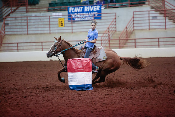 www.ngaphoto.com 2015 Georgia Federation of Saddle Clubs Championship Horse Show