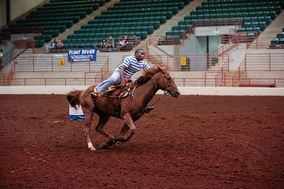 www.ngaphoto.com 2015 Georgia Federation of Saddle Clubs Championship Horse Show