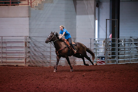 www.ngaphoto.com 2015 Georgia Federation of Saddle Clubs Championship Horse Show