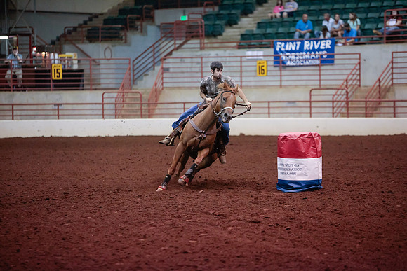 www.ngaphoto.com 2015 Georgia Federation of Saddle Clubs Championship Horse Show