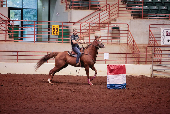 www.ngaphoto.com 2015 Georgia Federation of Saddle Clubs Championship Horse Show