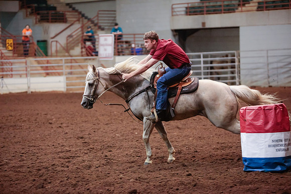 www.ngaphoto.com 2015 Georgia Federation of Saddle Clubs Championship Horse Show