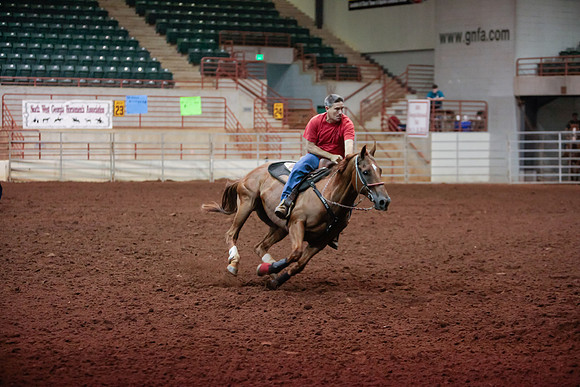 www.ngaphoto.com 2015 Georgia Federation of Saddle Clubs Championship Horse Show
