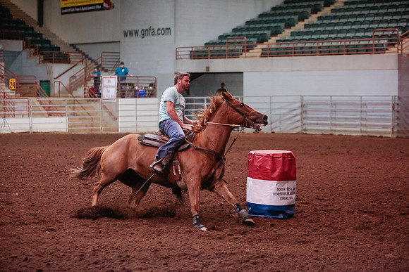 www.ngaphoto.com 2015 Georgia Federation of Saddle Clubs Championship Horse Show