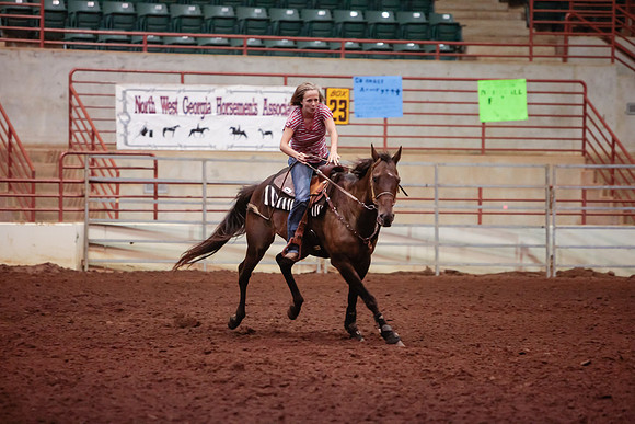 www.ngaphoto.com 2015 Georgia Federation of Saddle Clubs Championship Horse Show
