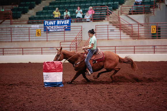 www.ngaphoto.com 2015 Georgia Federation of Saddle Clubs Championship Horse Show