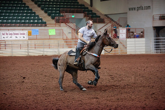 www.ngaphoto.com 2015 Georgia Federation of Saddle Clubs Championship Horse Show