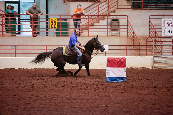 www.ngaphoto.com 2015 Georgia Federation of Saddle Clubs Championship Horse Show