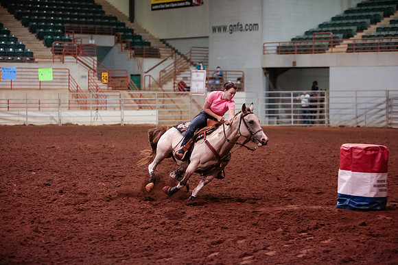 www.ngaphoto.com 2015 Georgia Federation of Saddle Clubs Championship Horse Show
