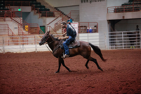 www.ngaphoto.com 2015 Georgia Federation of Saddle Clubs Championship Horse Show