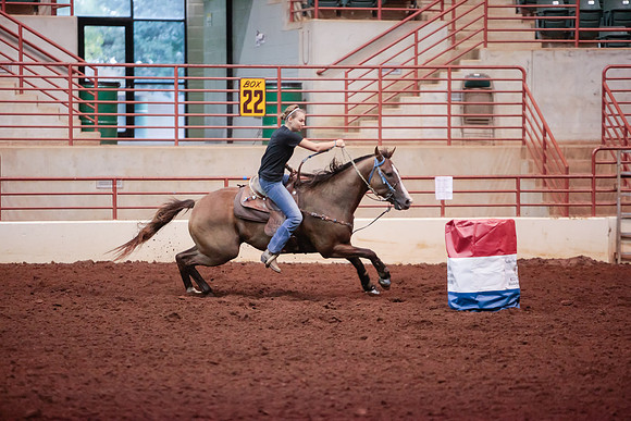www.ngaphoto.com 2015 Georgia Federation of Saddle Clubs Championship Horse Show