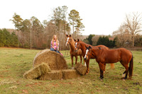 3 horse sample. Resting leg replaced with leg sample image in #2.