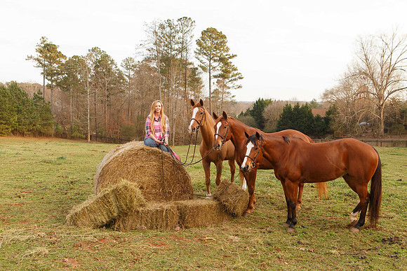 3 horse sample. Resting leg replaced with leg sample image in #2.