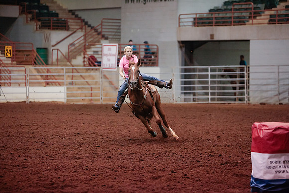 www.ngaphoto.com 2015 Georgia Federation of Saddle Clubs Championship Horse Show