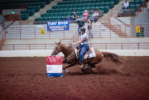 www.ngaphoto.com 2015 Georgia Federation of Saddle Clubs Championship Horse Show