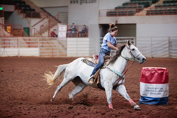 www.ngaphoto.com 2015 Georgia Federation of Saddle Clubs Championship Horse Show