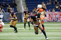 Legends Football League #lfl