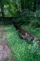 20240812-IMG_1807