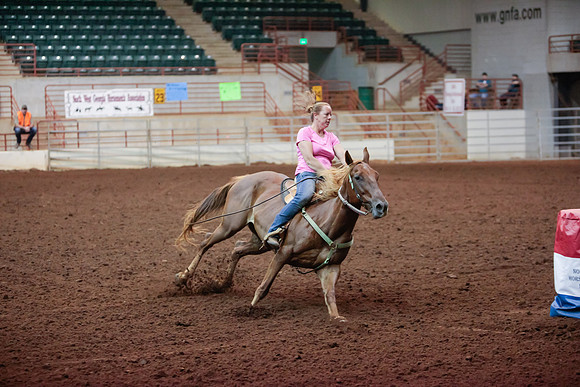 www.ngaphoto.com 2015 Georgia Federation of Saddle Clubs Championship Horse Show
