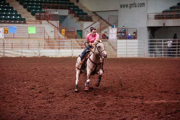 www.ngaphoto.com 2015 Georgia Federation of Saddle Clubs Championship Horse Show