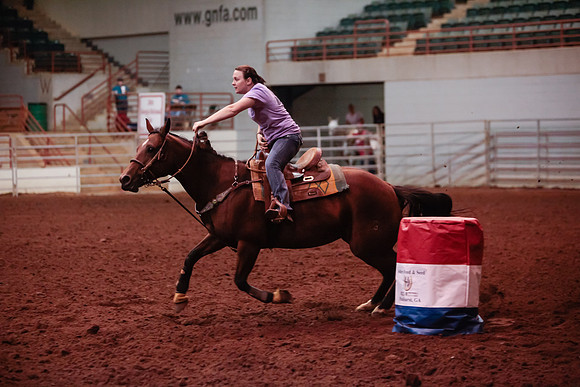 www.ngaphoto.com 2015 Georgia Federation of Saddle Clubs Championship Horse Show