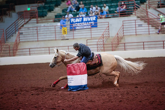 www.ngaphoto.com 2015 Georgia Federation of Saddle Clubs Championship Horse Show