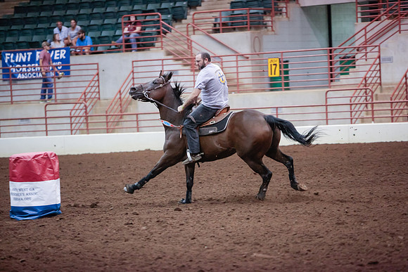 www.ngaphoto.com 2015 Georgia Federation of Saddle Clubs Championship Horse Show