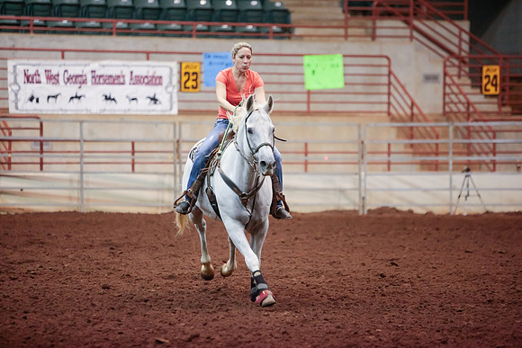 www.ngaphoto.com 2015 Georgia Federation of Saddle Clubs Championship Horse Show