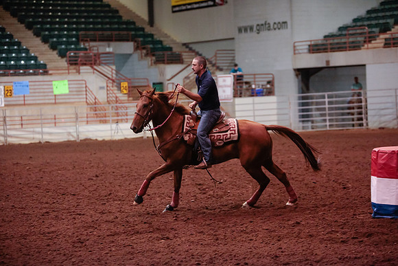 www.ngaphoto.com 2015 Georgia Federation of Saddle Clubs Championship Horse Show