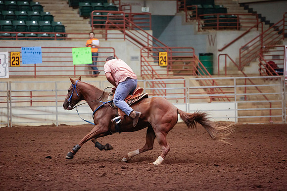 www.ngaphoto.com 2015 Georgia Federation of Saddle Clubs Championship Horse Show