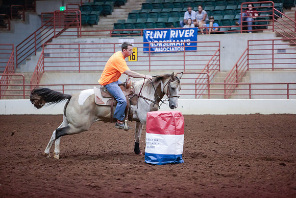 www.ngaphoto.com 2015 Georgia Federation of Saddle Clubs Championship Horse Show