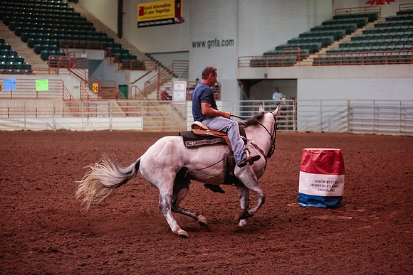 www.ngaphoto.com 2015 Georgia Federation of Saddle Clubs Championship Horse Show