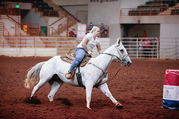 www.ngaphoto.com 2015 Georgia Federation of Saddle Clubs Championship Horse Show