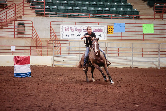 www.ngaphoto.com 2015 Georgia Federation of Saddle Clubs Championship Horse Show