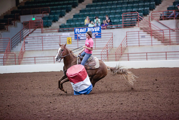 www.ngaphoto.com 2015 Georgia Federation of Saddle Clubs Championship Horse Show