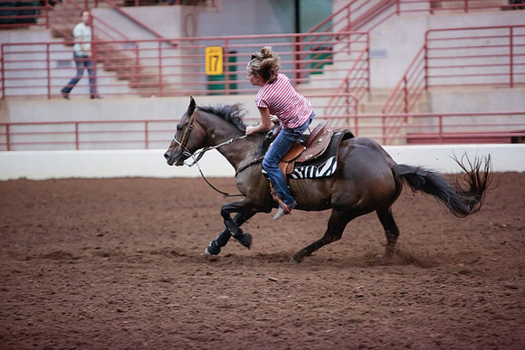 www.ngaphoto.com 2015 Georgia Federation of Saddle Clubs Championship Horse Show