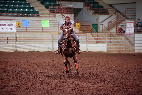 www.ngaphoto.com 2015 Georgia Federation of Saddle Clubs Championship Horse Show