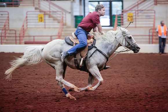 www.ngaphoto.com 2015 Georgia Federation of Saddle Clubs Championship Horse Show
