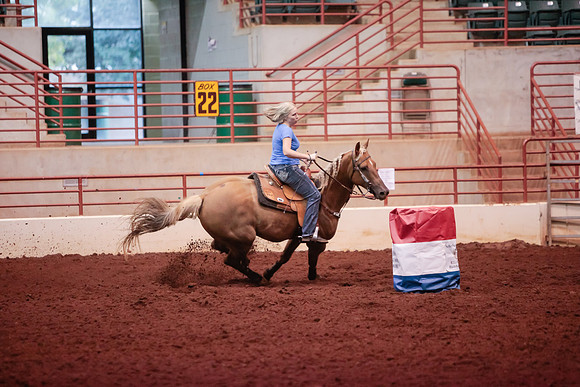www.ngaphoto.com 2015 Georgia Federation of Saddle Clubs Championship Horse Show