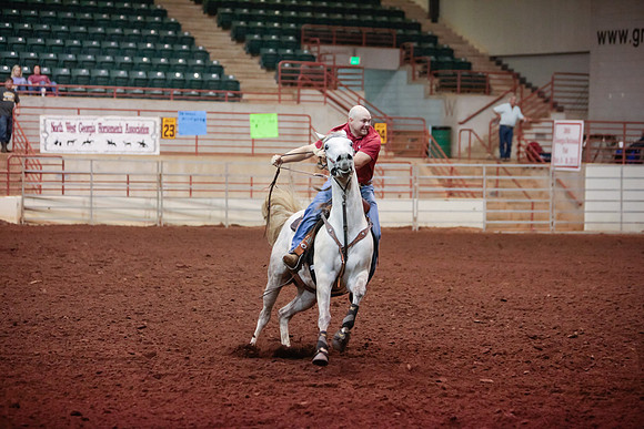 www.ngaphoto.com 2015 Georgia Federation of Saddle Clubs Championship Horse Show