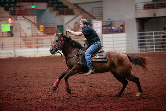 www.ngaphoto.com 2015 Georgia Federation of Saddle Clubs Championship Horse Show