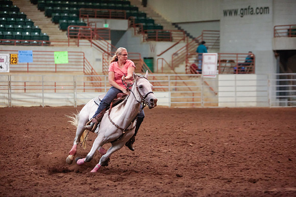 www.ngaphoto.com 2015 Georgia Federation of Saddle Clubs Championship Horse Show